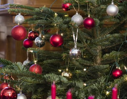 Christmas Tree Festival 2025