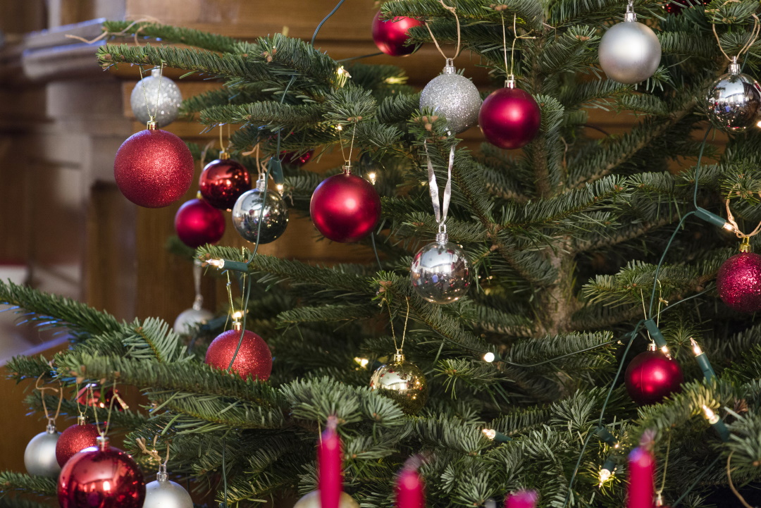 Christmas Tree Festival 2025